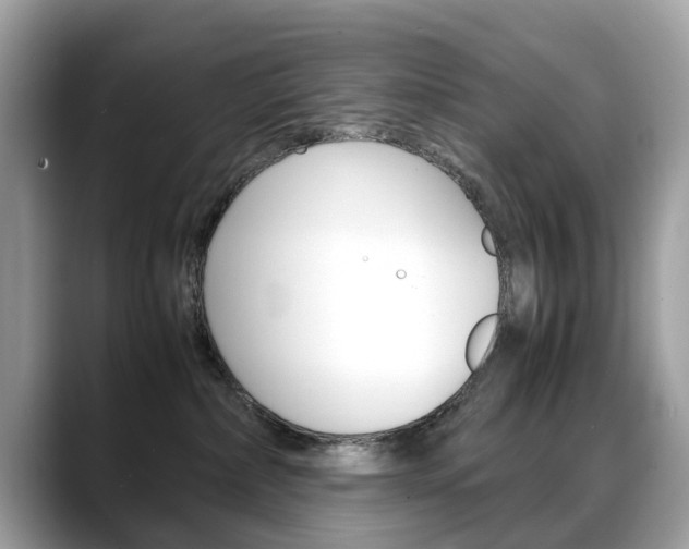 X0000088720236200705311103
