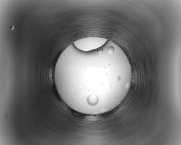 X0000088720238200705311103