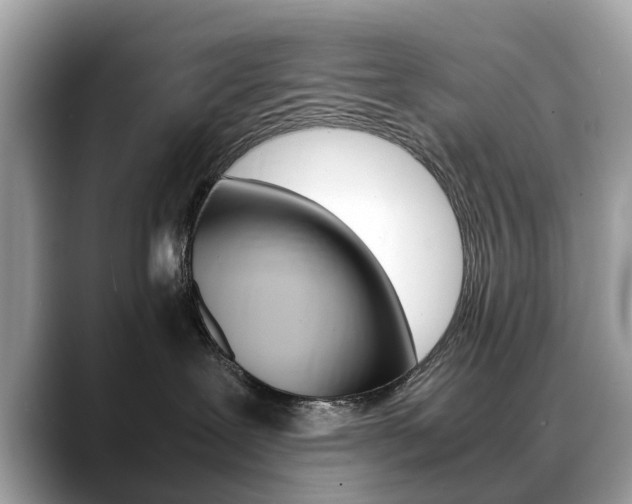 X0000088720239200705311103