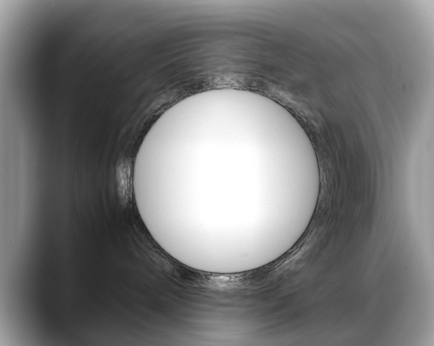 X0000088720240200705311103