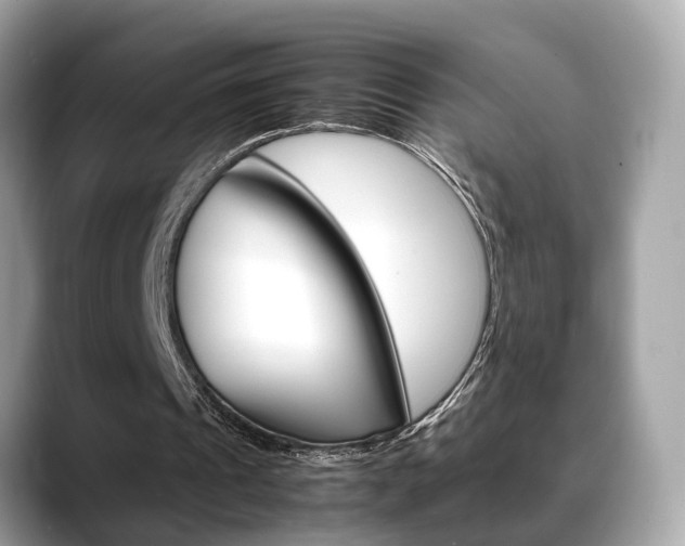 X0000088720241200705311102