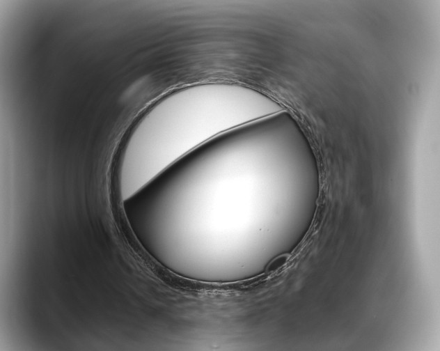 X0000088720242200705311102