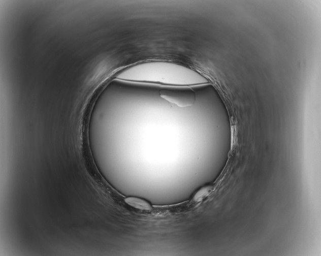 X0000088720243200705311102