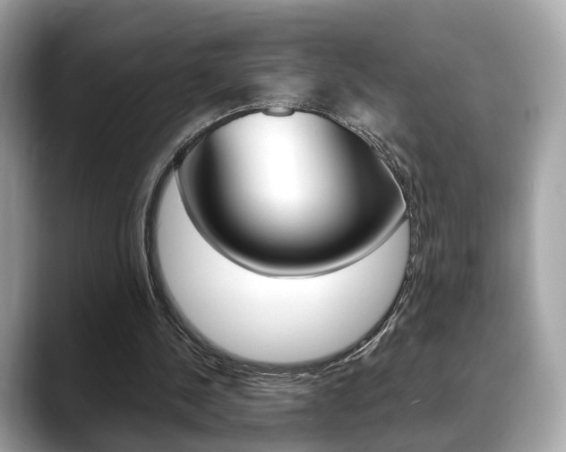 X0000088720244200705311102