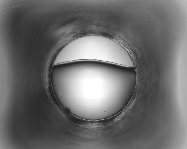 X0000088720245200705311102