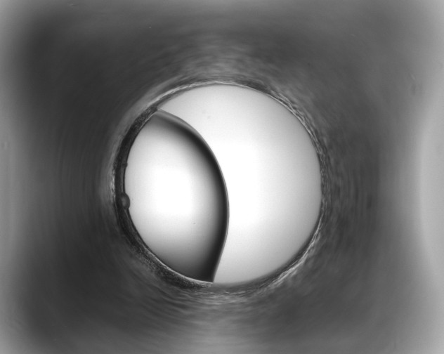 X0000088720246200705311102