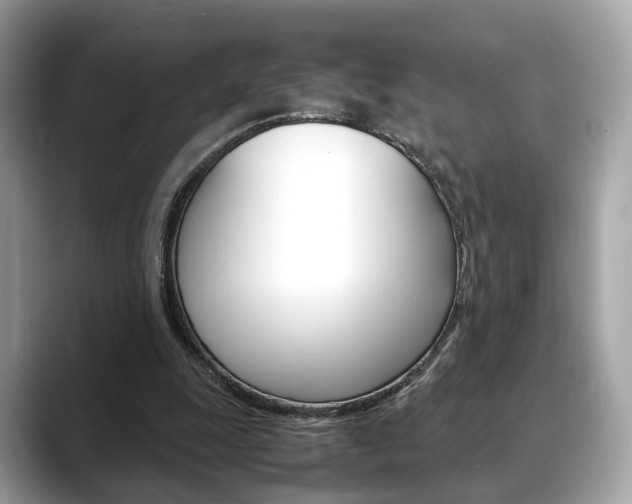 X0000088720247200705311102