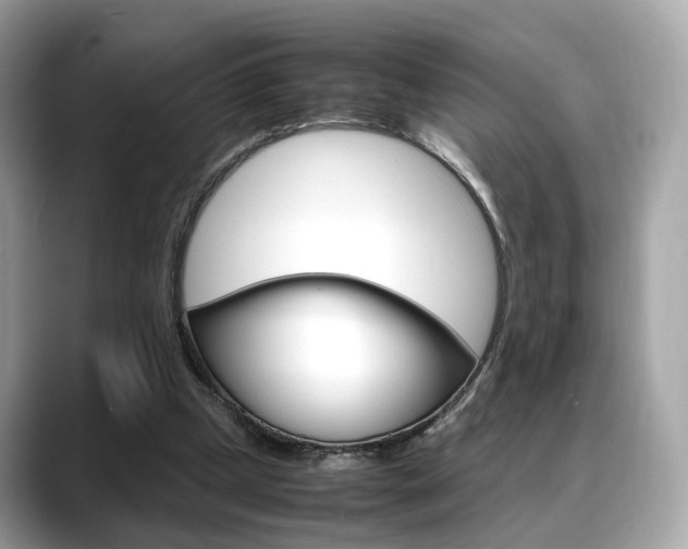 X0000088720249200705311102