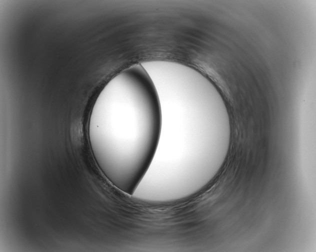 X0000088720251200705311102