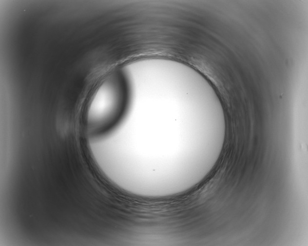 X0000088720252200705311102