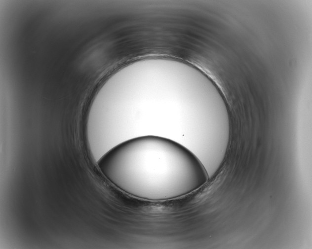 X0000088720253200705311102