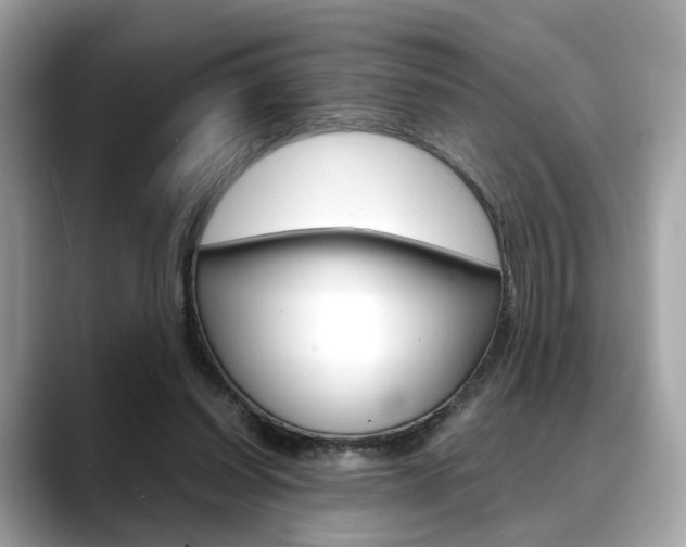 X0000088720254200705311102