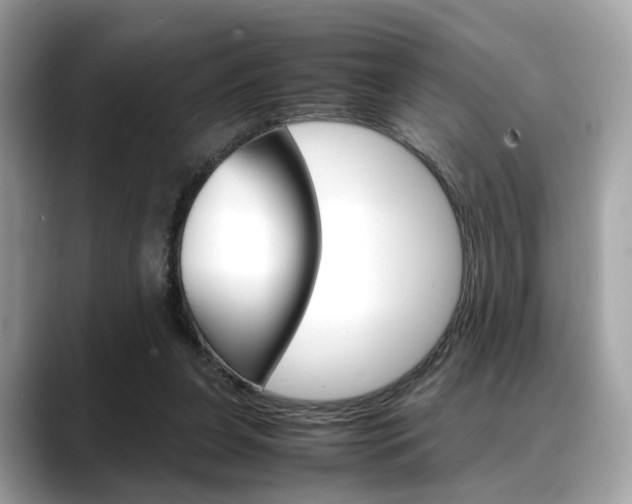 X0000088720255200705311102
