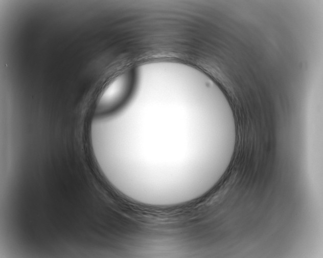 X0000088720256200705311102