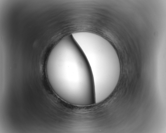 X0000088720258200705311102