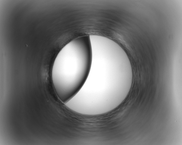 X0000088720259200705311102