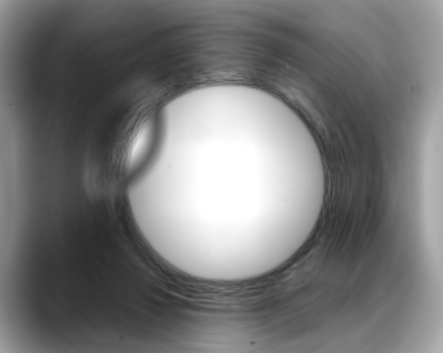 X0000088720260200705311102
