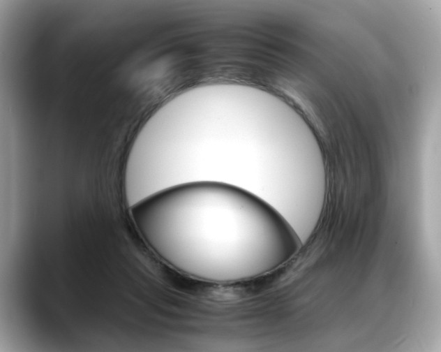 X0000088720261200705311102