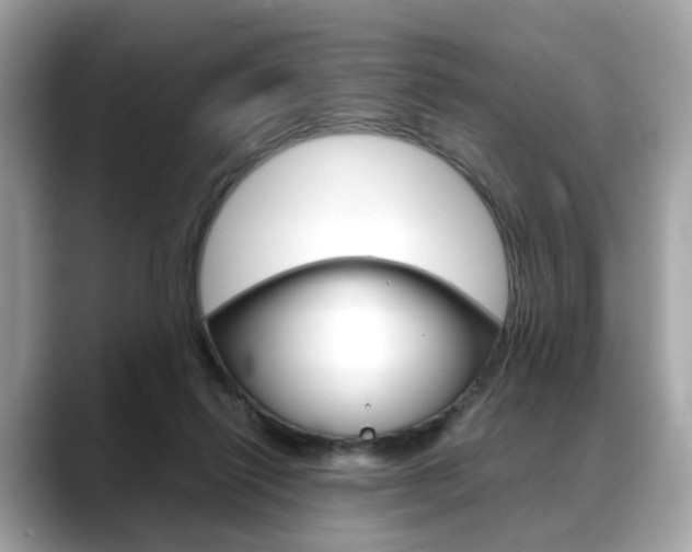 X0000088720262200705311102
