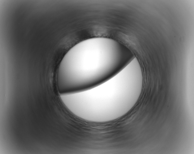 X0000088720263200705311102