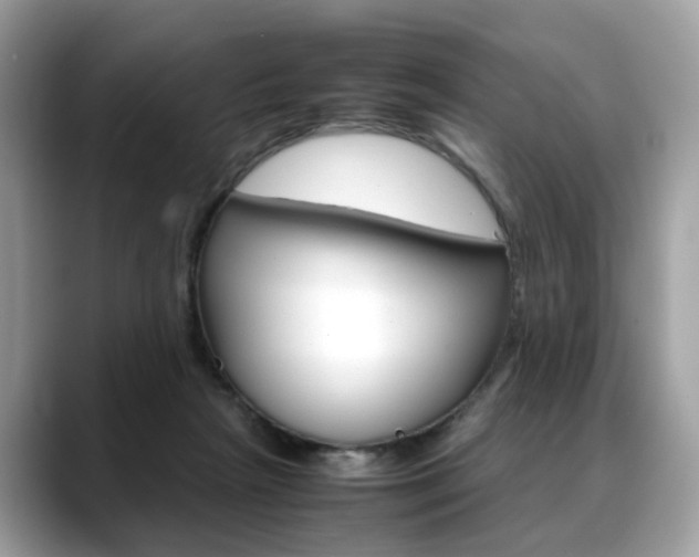 X0000088720265200705311102
