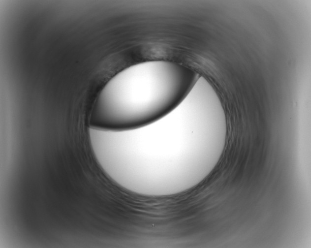 X0000088720267200705311102