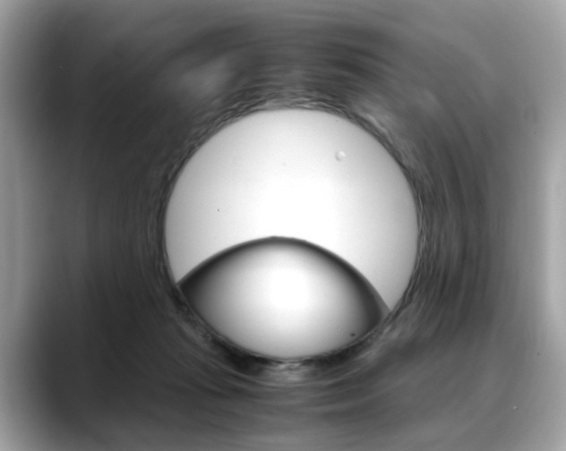 X0000088720269200705311102