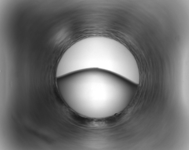 X0000088720270200705311102