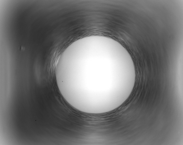 X0000088720280200705311103