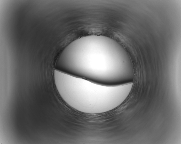 X0000088720281200705311103