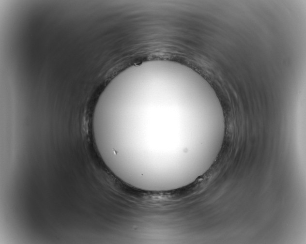 X0000088720282200705311103