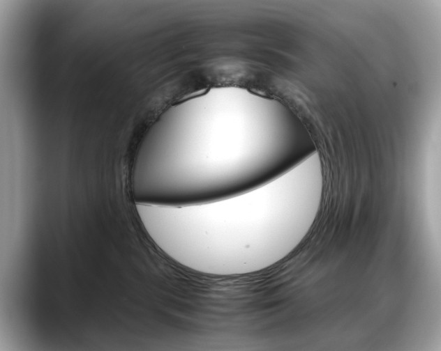 X0000088720283200705311103