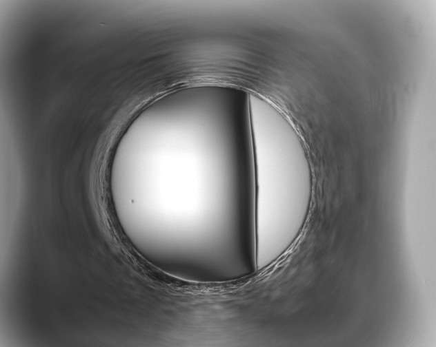 X0000088720289200705311102