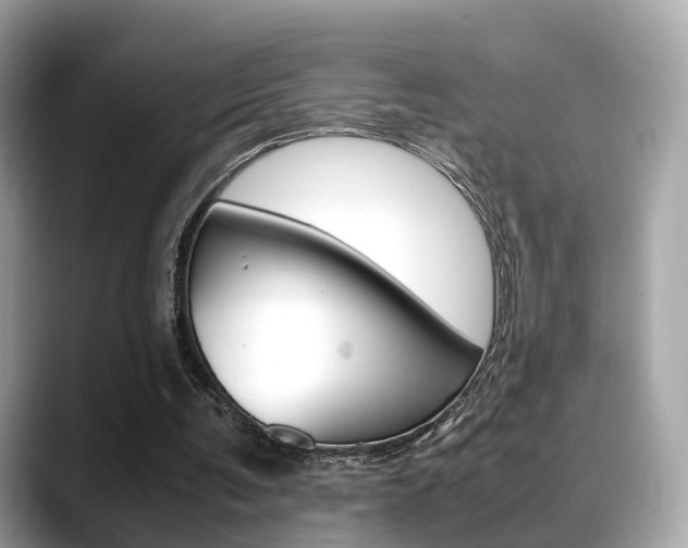 X0000088720291200705311102