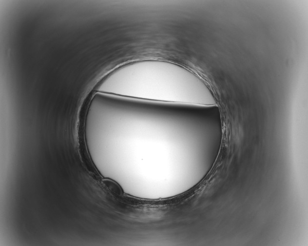 X0000088720292200705311102