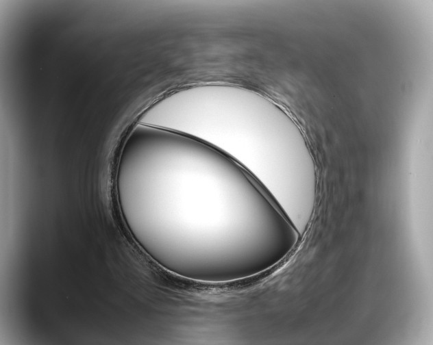 X0000088720293200705311102