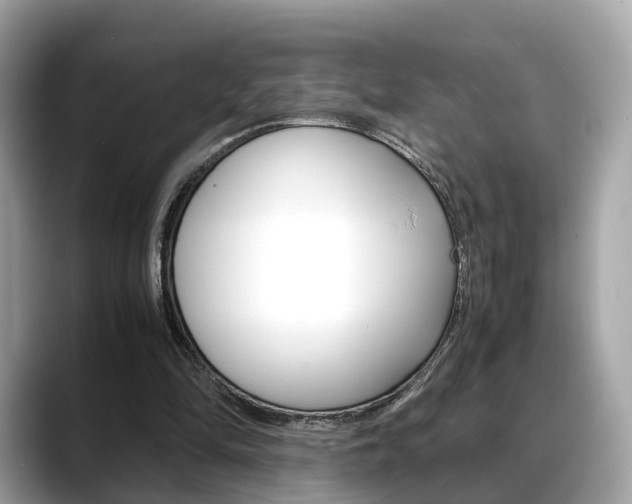 X0000088720294200705311102