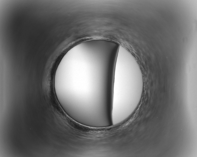X0000088720295200705311102