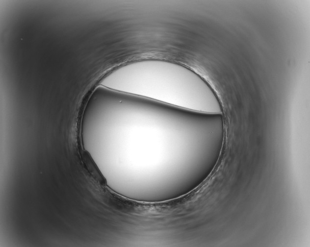 X0000088720297200705311102
