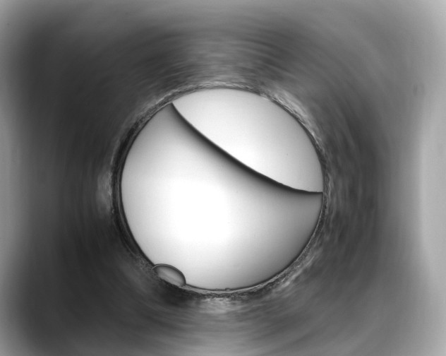 X0000088720298200705311102