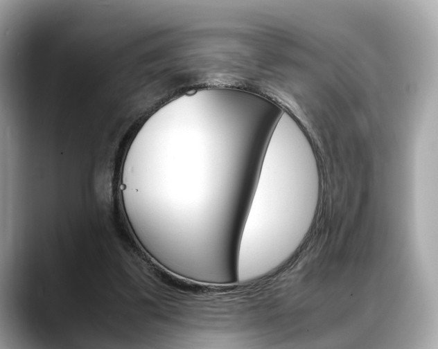 X0000088720299200705311102