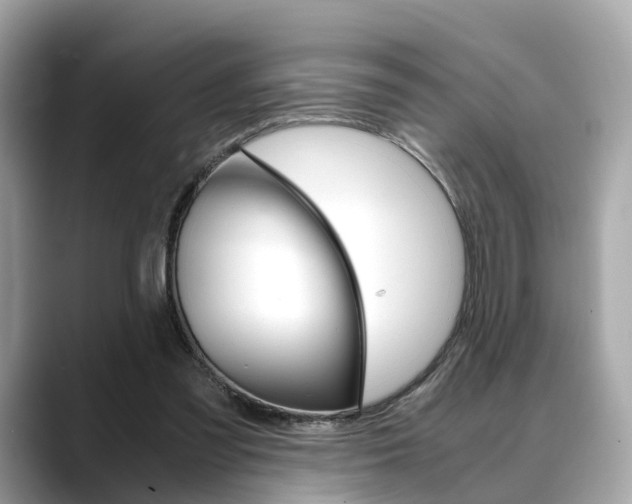 X0000088720301200705311102