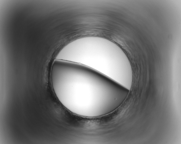 X0000088720303200705311102