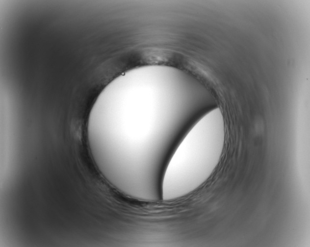 X0000088720315200705311102