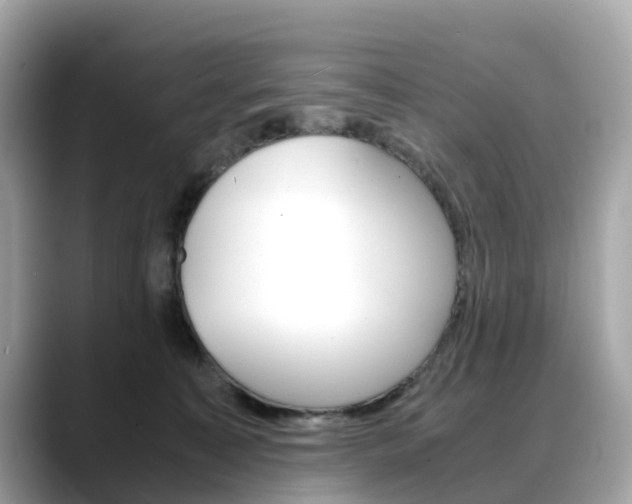 X0000088720323200705311102