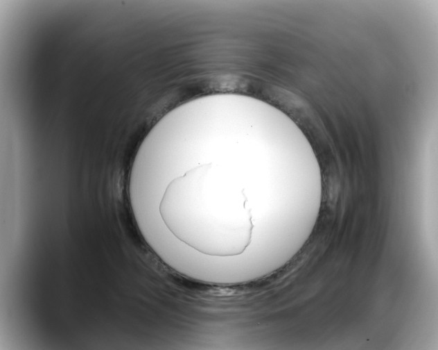 X0000088720326200705311102