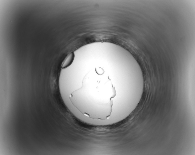 X0000088720327200705311102
