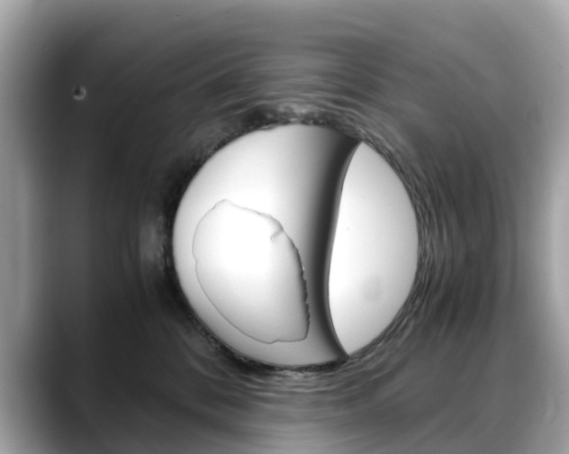X0000088720328200705311102