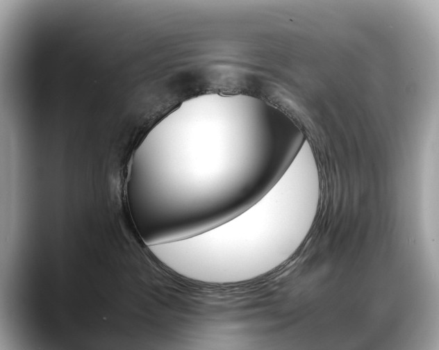 X0000088720333200705311102