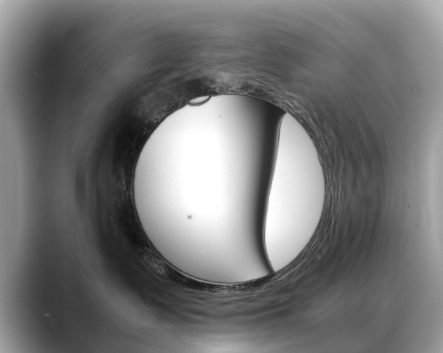 X0000088720335200705311102